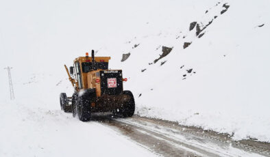 Hakkari’de kar nedeniyle 155 yerleşim biriminin yolu kapandı