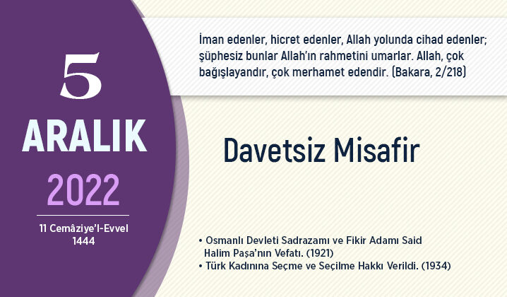 Davetsiz misafir