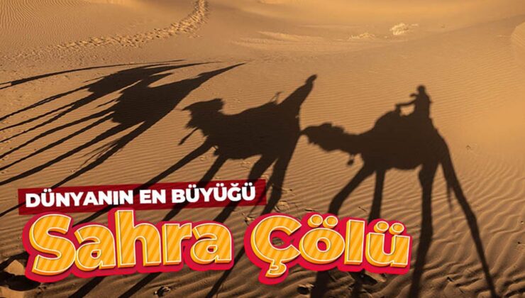 Dünyanın en büyük sıcak çölü: Büyük Sahra