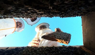 Ağrı’nın yaylalarında “bal mevsimi”