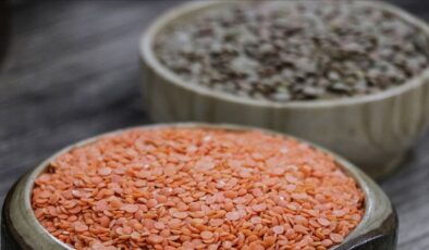 2024 hububat alım fiyatları belli oldu