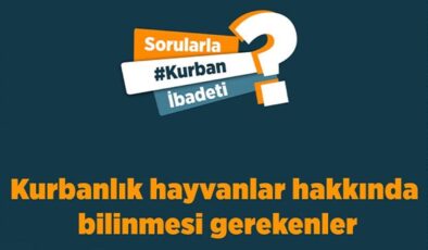 Kurbanlık hayvanlar hakkında bilinmesi gerekenler