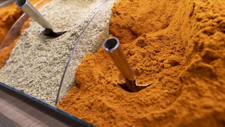 Baharat sektöründen yılın ilk yarısında 113 milyon dolarlık ihracat