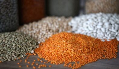 Güneydoğu Anadolu’dan yılın ilk yarısında 1,6 milyar dolarlık hububat ve bakliyat ihracatı