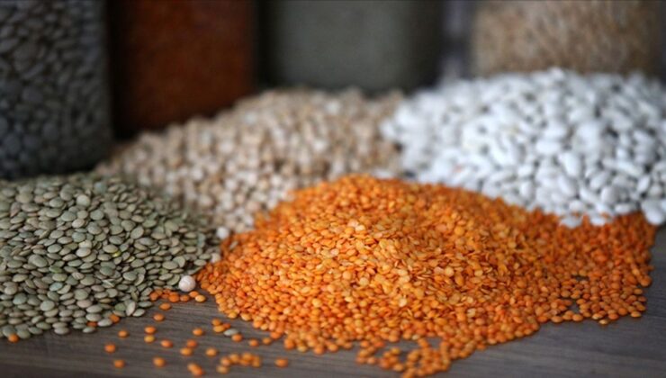 Güneydoğu Anadolu’dan yılın ilk yarısında 1,6 milyar dolarlık hububat ve bakliyat ihracatı