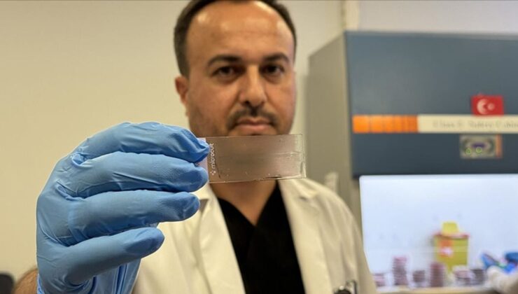Akademisyenlerin geliştirdiği yazılımla yapay zeka, kanserli hücreleri tespit ediyor