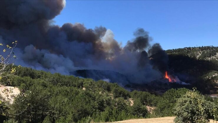 Bolu’da ormanlık alanda çıkan yangına müdahale ediliyor