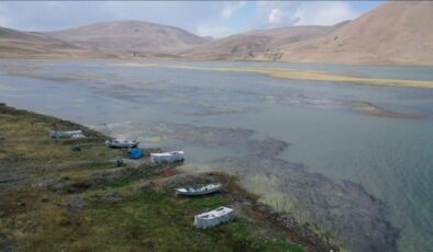 Suyu çekilen ve yosun tutan Balık Gölü’nde “canlı yaşamı” tehlikede