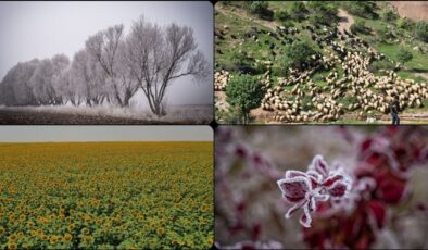 Ekimde en düşük sıcaklık Erzurum, en yüksek sıcaklık Cizre ve Ceylanpınar’da ölçüldü
