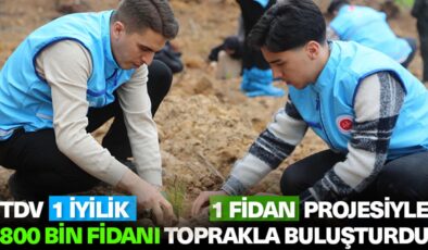 TDV 1 İyilik 1 Fidan projesiyle 800 bin fidanı toprakla buluşturdu
