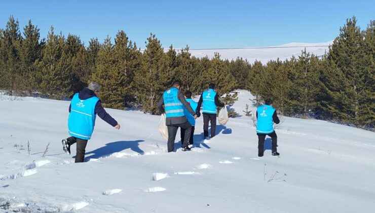 Türkiye’nin en soğuk ilinde yaban hayvanları unutulmadı