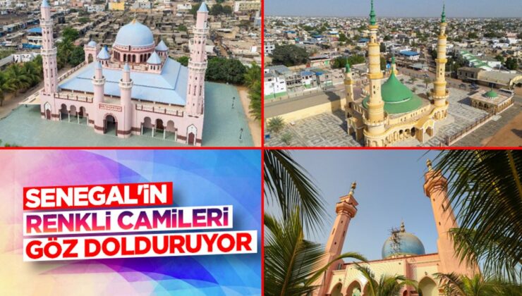 Senegal’in renkli camileri göz dolduruyor