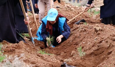 TDV gönüllüleri, Konya’da 10 bin fidanı toprakla buluşturdu