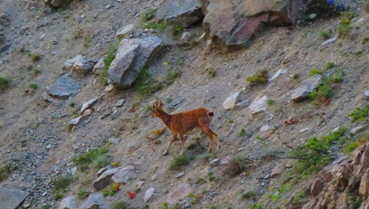 Türkiye “8. kıta” Ay’da hedef büyüttü