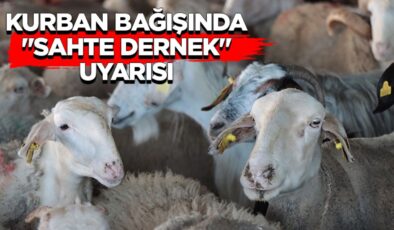 Kurban bağışında “sahte dernek” uyarısı
