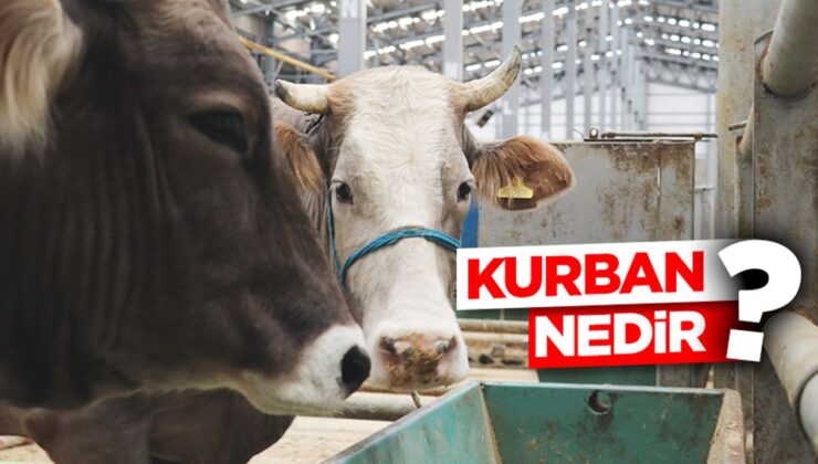 Kurban nedir?