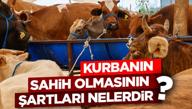 Kurbanın sahih olmasının şartları nelerdir?