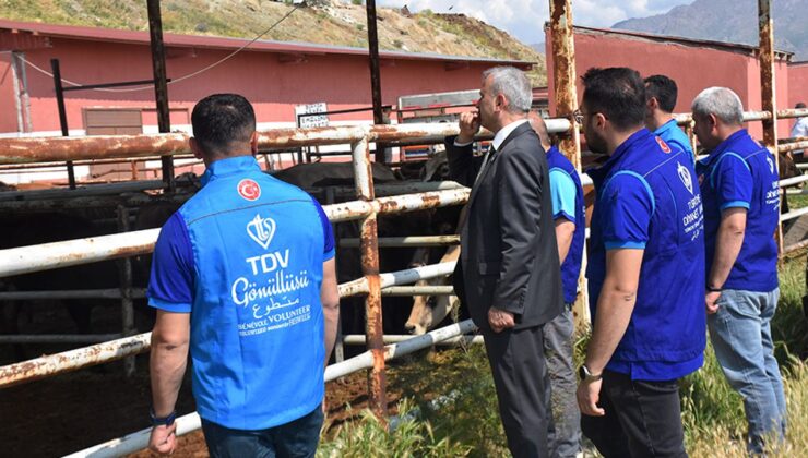 TDV, Van’da 6 bin 825 hisse kurbanlığın kesimine başladı