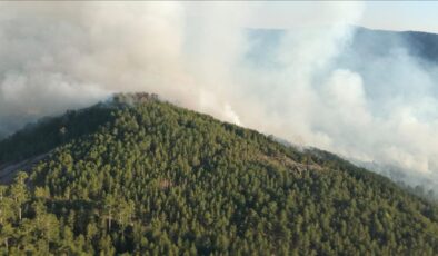 Balıkesir’de çıkan orman yangınına müdahale sürüyor