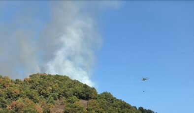 Düzce’de çıkan orman yangınına müdahale ediliyor