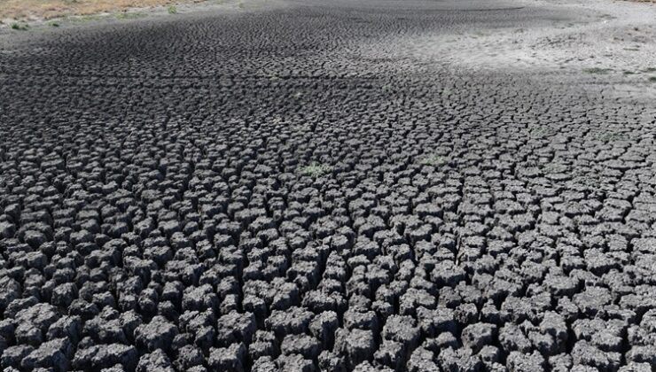 Edirne’de Habiller köyündeki 5 göletten 4’ü kuraklığa bağlı kurudu