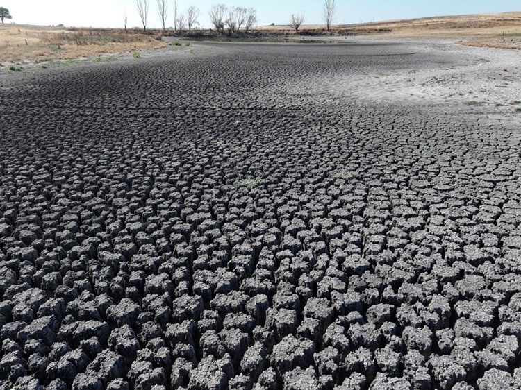 Edirne'de Habiller Köyündeki 5 Göletten 4'Ü Kuraklığa Bağlı Kurudu