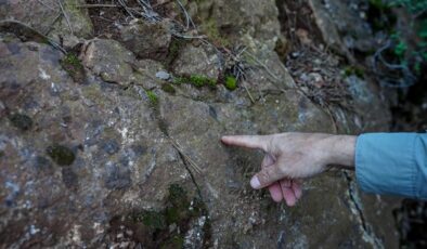 Sındırgı depremlerinin “ölü” fayların yeniden aktifleşmesiyle meydana geldiği belirlendi