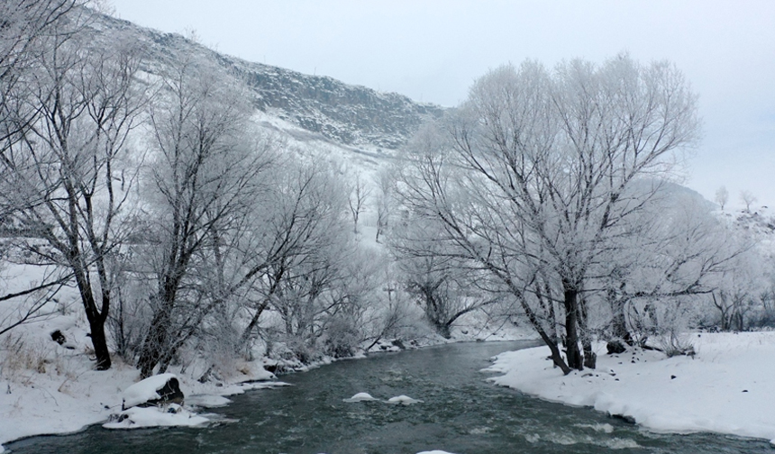 Soğuk Hava 11