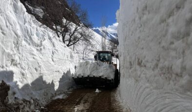 Hakkari’de karla mücadele sürüyor