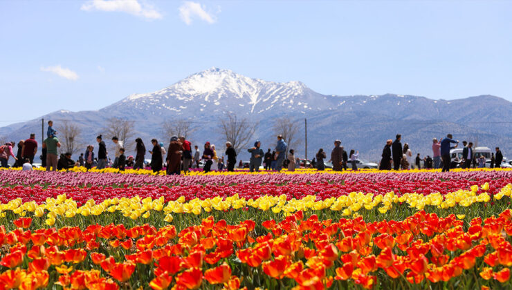 Karaman lale tarlalarıyla ziyaretçi çekiyor