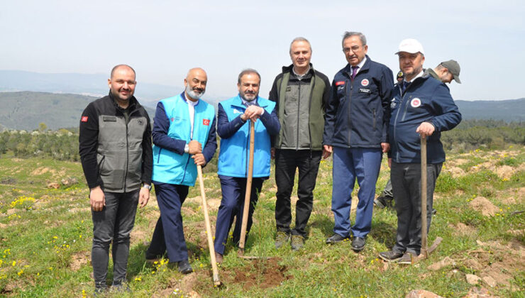 TDV Balıkesir’de 10 bin ağaç dikti