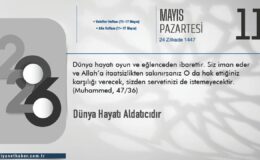 Dünya Hayatı Aldatıcıdır