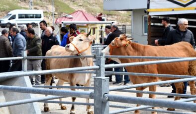 Kurban pazarlarında hareketlilik başladı