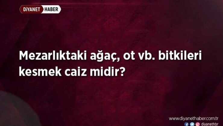 Mezarlıktaki ağaç, ot vb. bitkileri kesmek caiz midir?