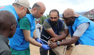 TDV görevlileri, Sierra Leone’de ihtiyaç sahiplerine kurban eti ulaştıracak