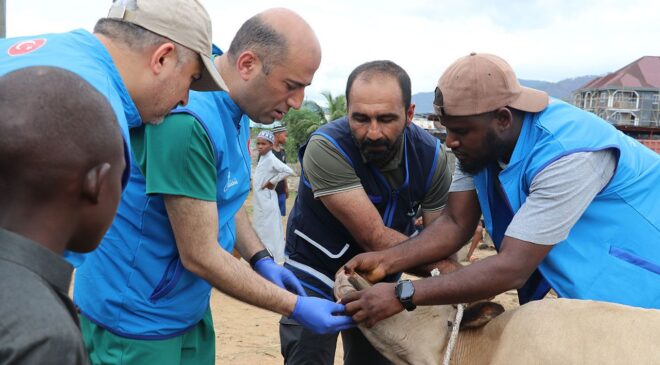 TDV görevlileri, Sierra Leone’de ihtiyaç sahiplerine kurban eti ulaştıracak