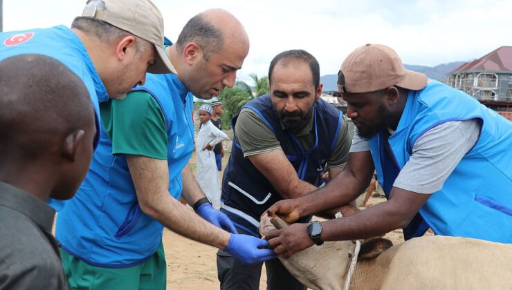 TDV görevlileri, Sierra Leone’de ihtiyaç sahiplerine kurban eti ulaştıracak