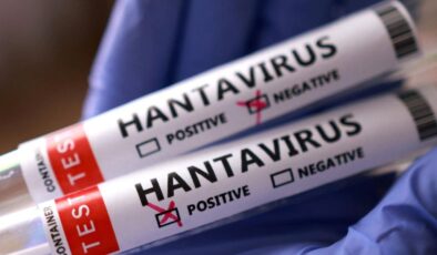 Türkiye’de hantavirüs riski var mı?