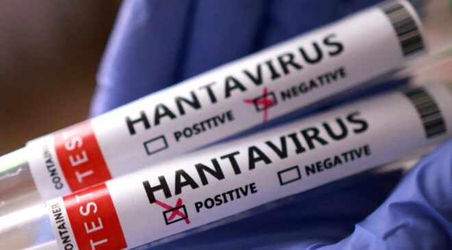 Türkiye’de hantavirüs riski var mı?
