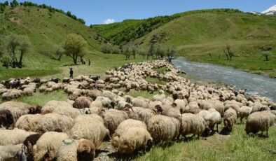 Göçerler yaylalarda konaklamaya başladı