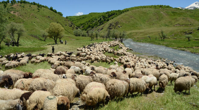 Göçerler yaylalarda konaklamaya başladı